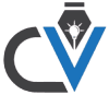 CV Writing Services
